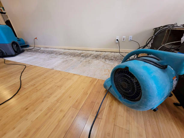 Professional Structural Drying technician working in Hartsdale, NY